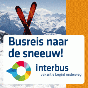 BANNER-interbus-500x500